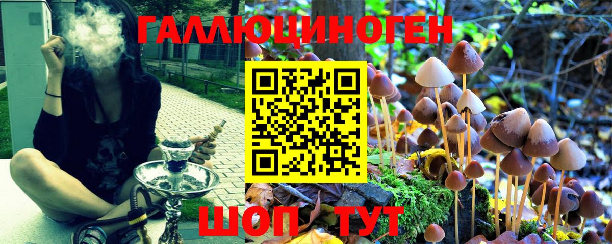 Касимов  Галлюциногенные грибы MAGIC MUSHROOMS  Вход с VPN 